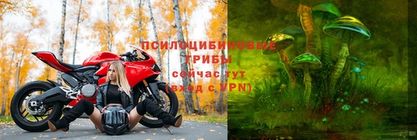 ALPHA PVP Баксан