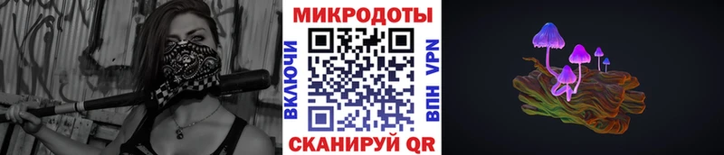 Псилоцибиновые грибы ЛСД  наркошоп  Нерюнгри 